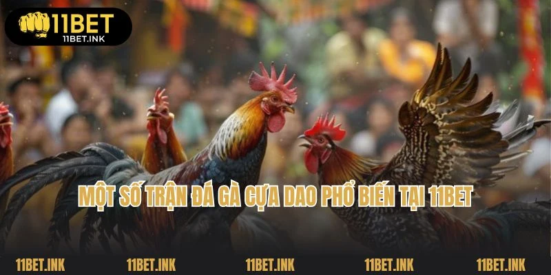 Một số trận đá gà cựa dao phổ biến tại 11Bet