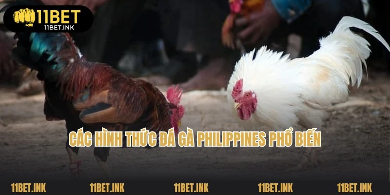 Các loại hình thi đấu phổ biến tích hợp tại đá gà Philippines
